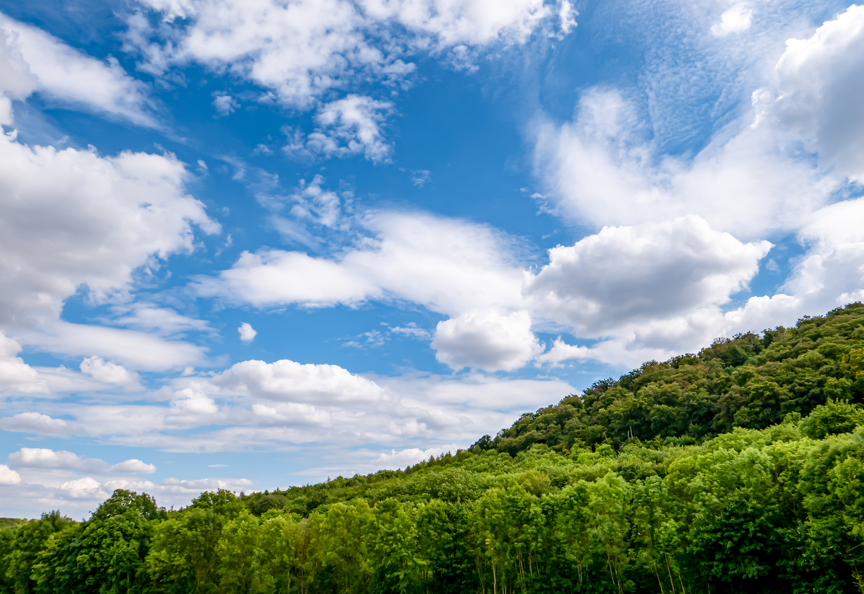 20220801 003 orig harz
